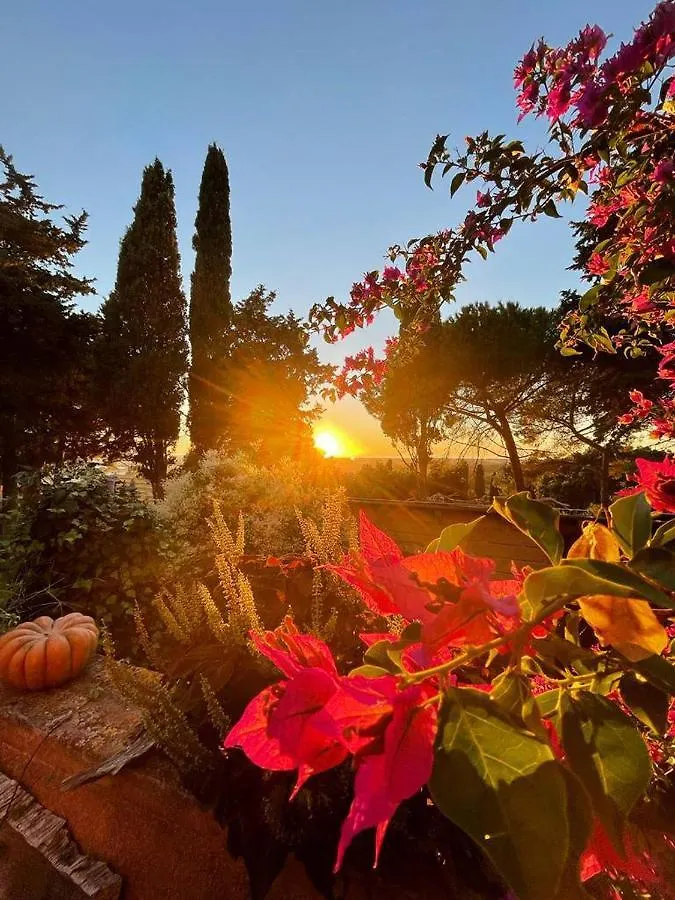 B&B Villa Il Poggetto Venturina Terme 0*,