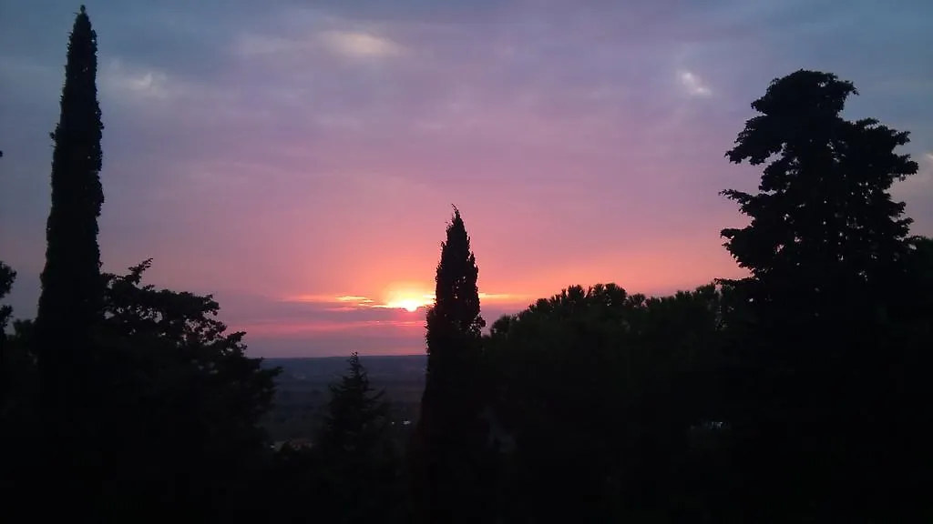 B&B Villa Il Poggetto Venturina Terme Bed & Breakfast