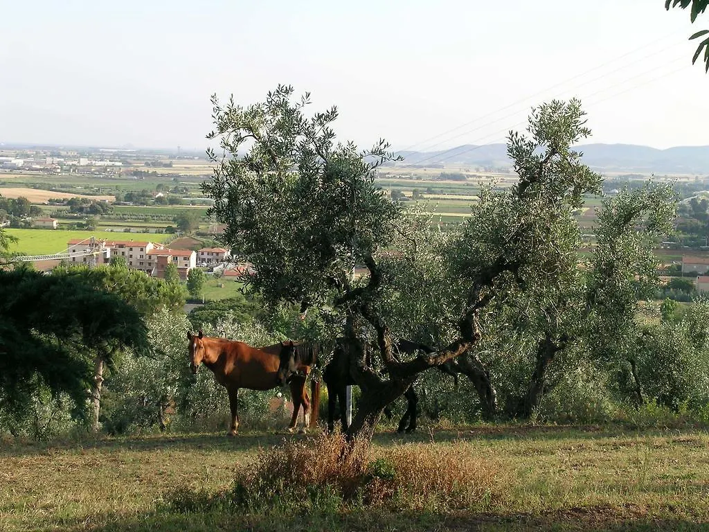 B&B Villa Il Poggetto Venturina Terme 0*,  Italy