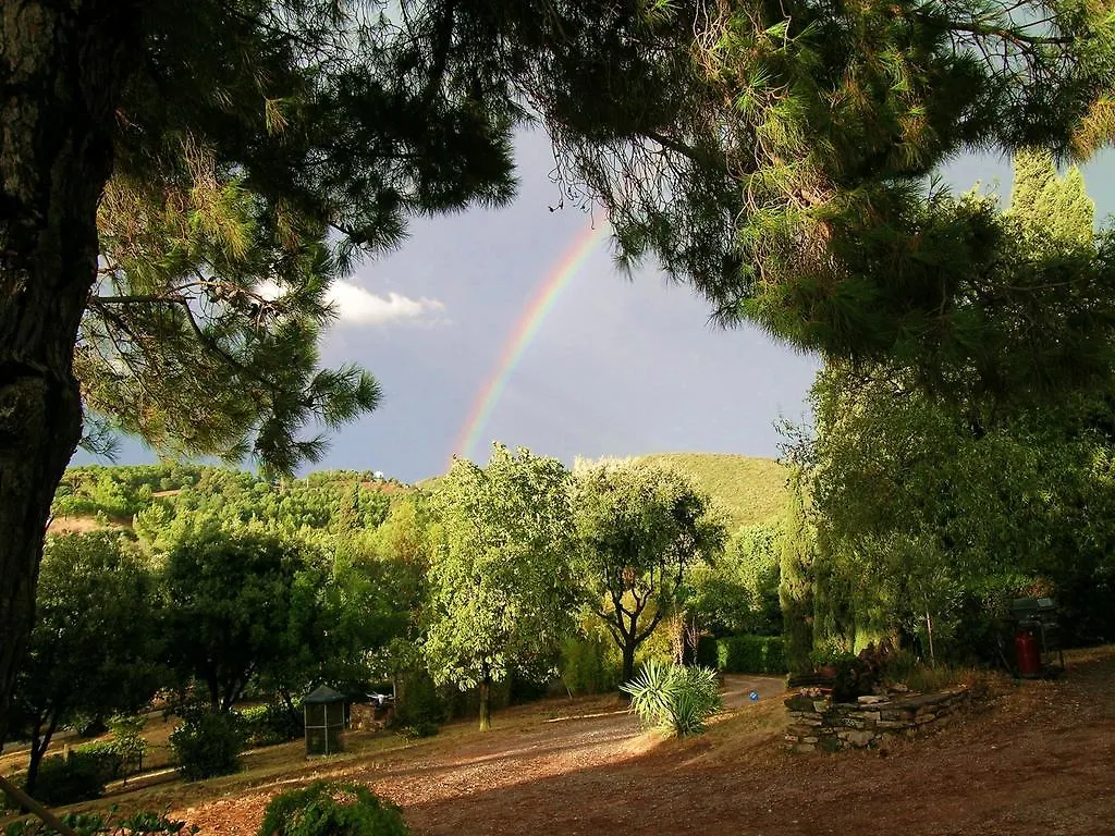 Bed & Breakfast B&B Villa Il Poggetto Venturina Terme Italy